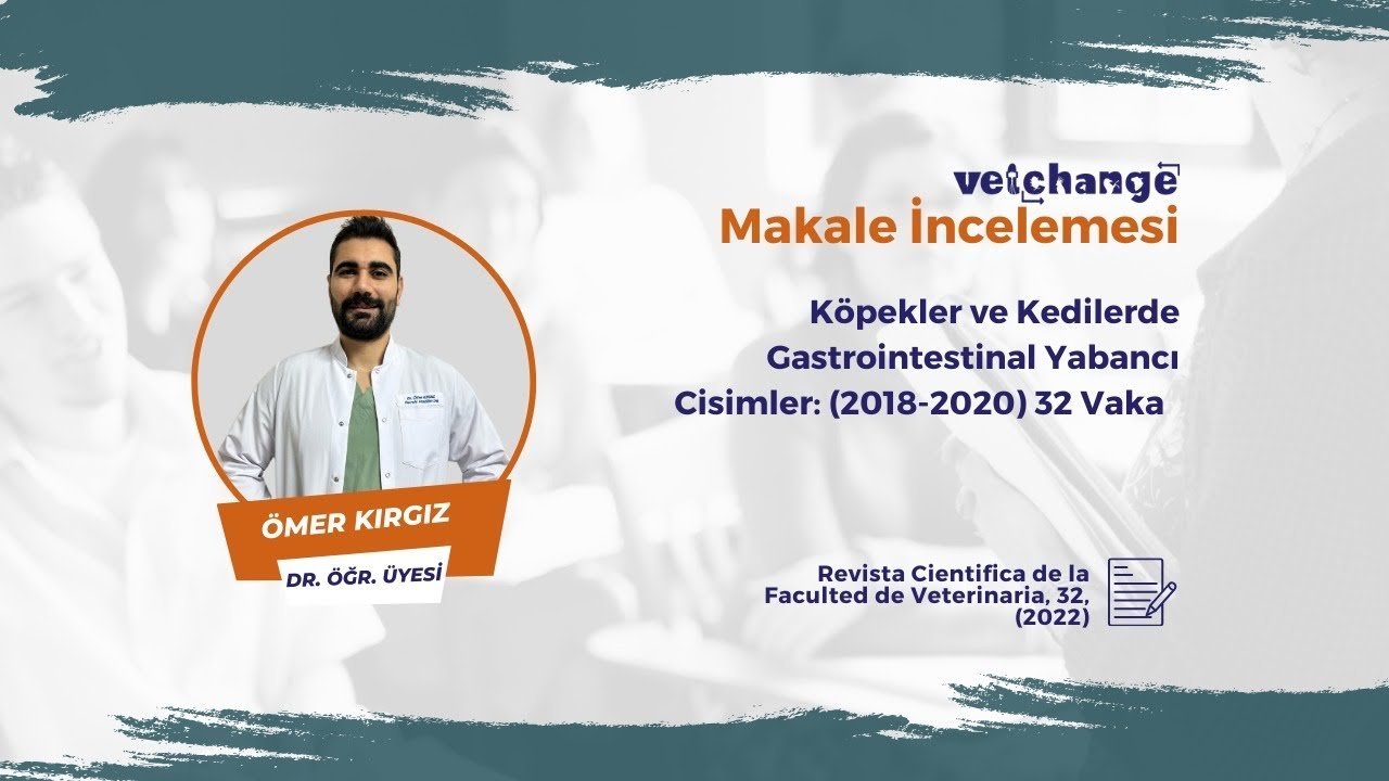 Köpek ve Kedilerde Gastrointestinal Yabancı Cisimler | Dr.Öğr. Üyesi Ömer Kırgız #vetchange